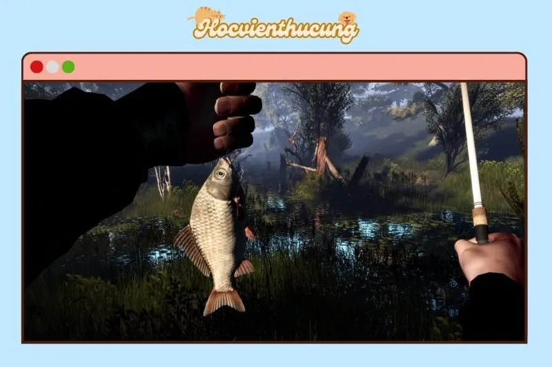 Professional Fishing