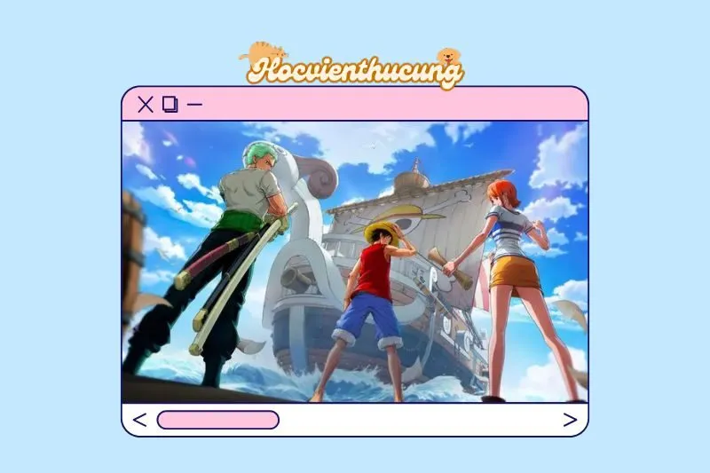 Các Nhân Vật Chính trong One Piece: Ambition