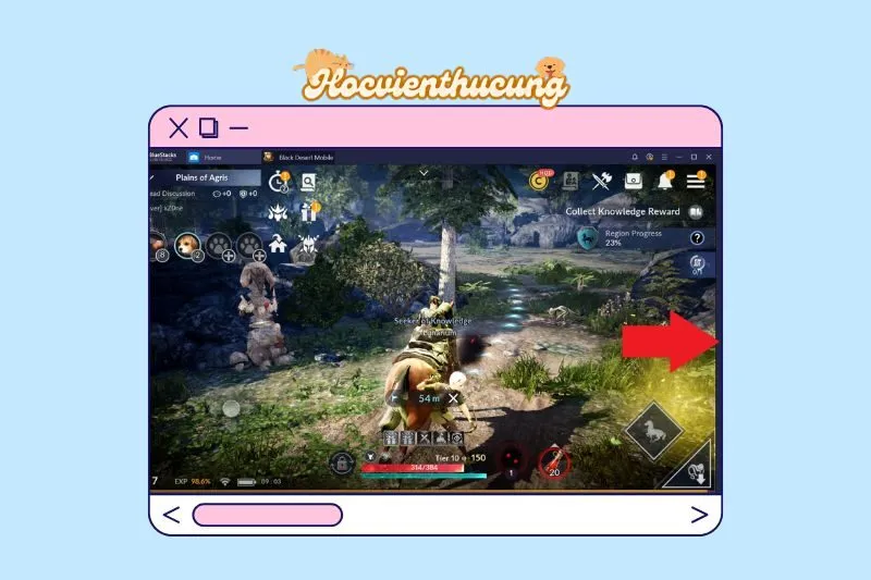 Cách chơi Black Desert Mobile: Gameplay và tính năng